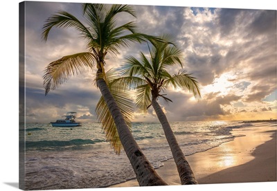 Close-Up Of Palm Tree With A Yacht Moored Off Shore, Worthing, Barbados, Caribbean