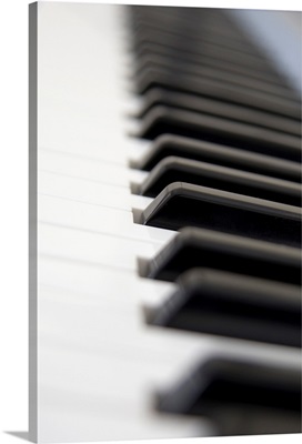 Close Up Of Piano Keyboard