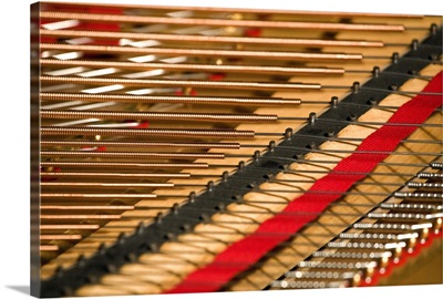 Close Up Of Piano Strings