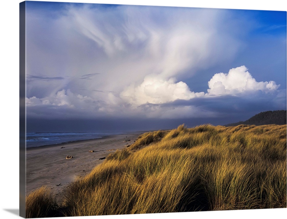 Clouds move inland over Umpqua Beach, Winchester Bay, Oregon Wall Art ...