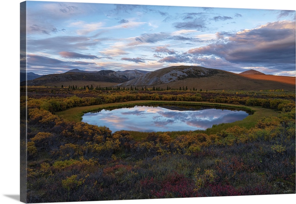 Dusk light reflecting the cloudy, blue sky in a pond in the middle of the autumn colored tundra near the Dempster Highway;...