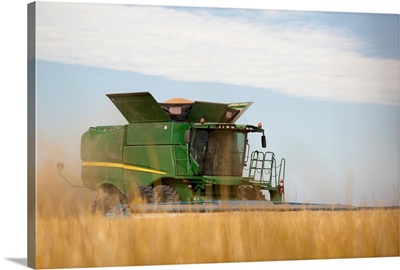 Combine cuts wheat in Northeast Colorado, Paoli, Colorado, United States of America