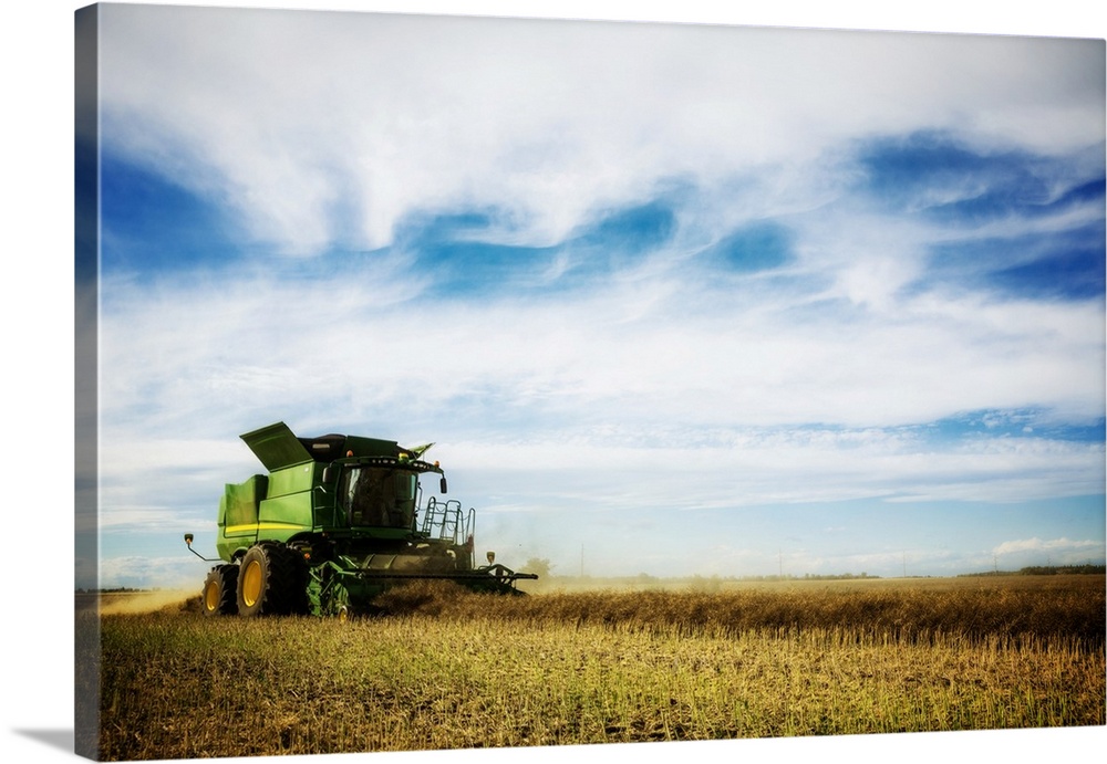 Side view of a farmer driving a combine during a canola harvest; Legal, Alberta, Canada