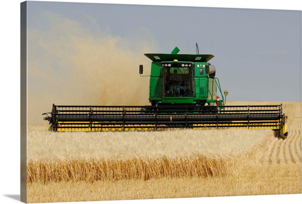 Combine Working A Field On The Prairies, Southern Saskatchewan, Canada