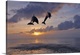image thumbnail of Common Bottlenose Dolphins Jumping in Sea at Sunset, Roatan, Bay Islands, Honduras