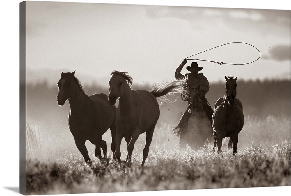 Cowboy Lassoing Horses, Senaca, Oregon, USA Wall Art, Canvas Prints ...