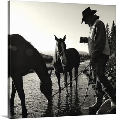 Cowboy with his horses, Ya-Ha-Tinda Ranch, Clearwater County, Alberta, Canada