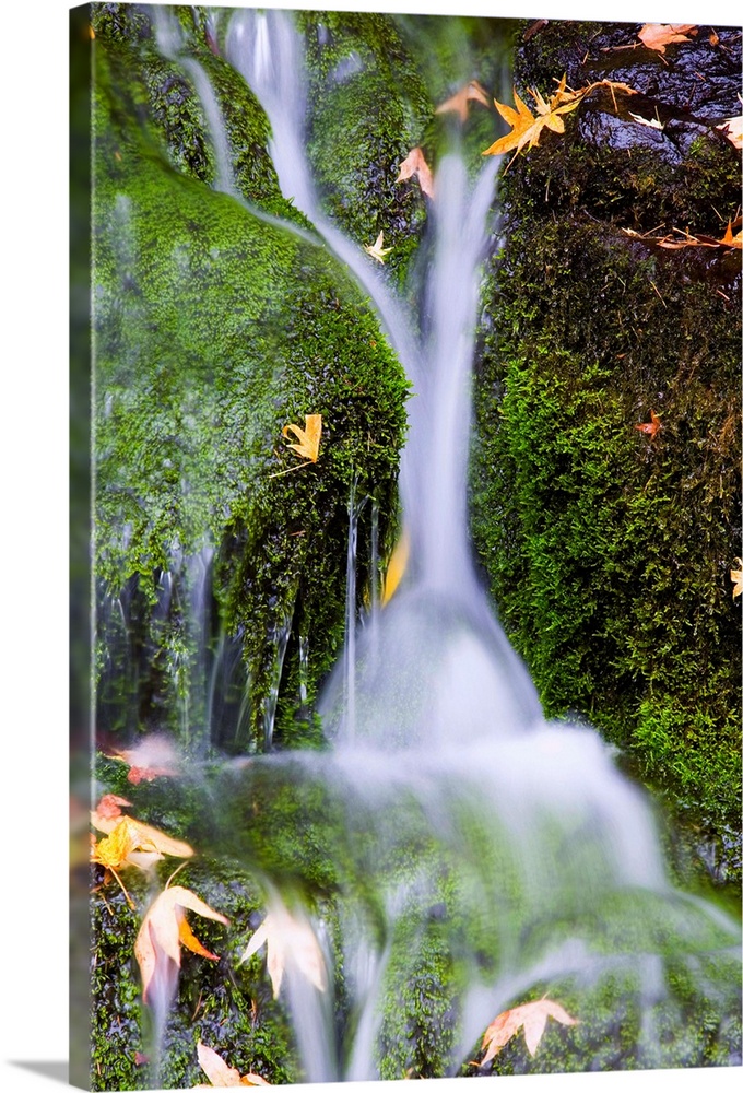 Crystal Springs Waterfall In Oregon