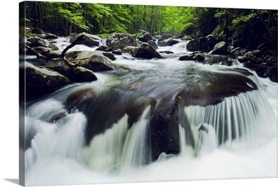 Curved Cascade On The Middle Prong River, Great Smoky Mountains, Tennessee