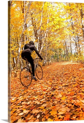 Cyclist Riding In Autumn On Humber Trail, Toronto, Canada
