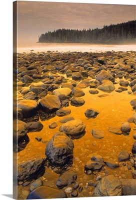 D.Wiggett; Rocks On Beach, China Beach Provicial Park, Vancouver Island, Canada