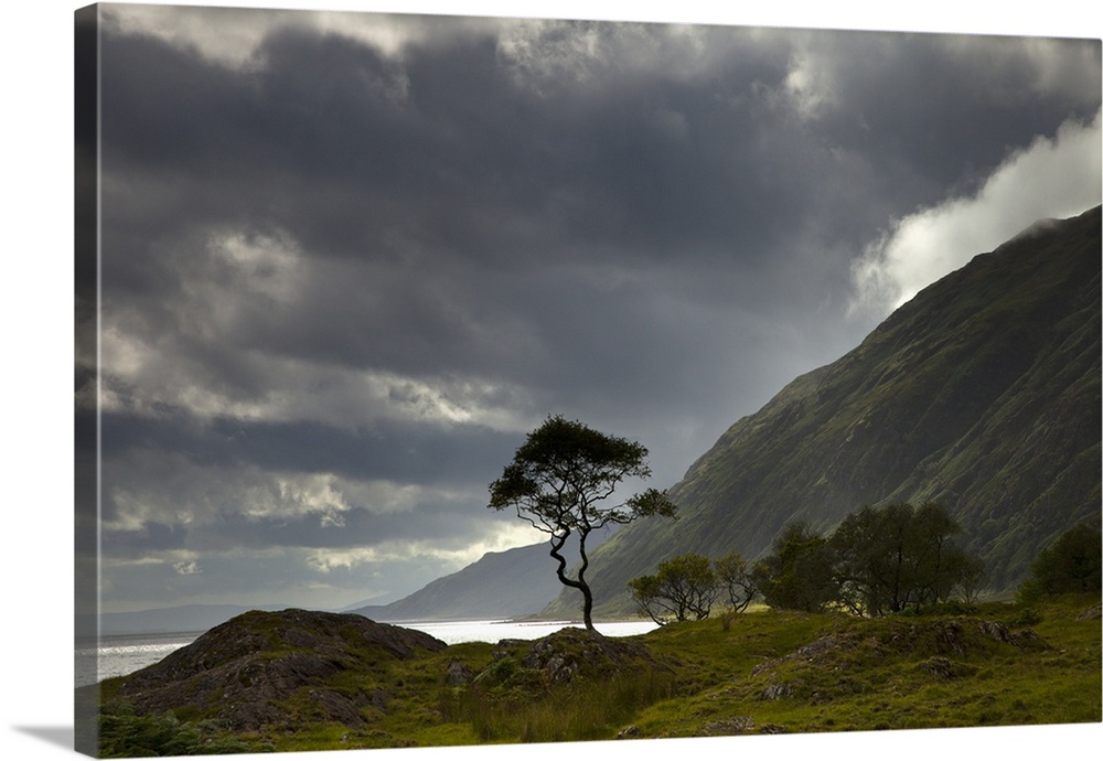 Dark Clouds Over A Landscape Along The Coast; Ardnamurchan, Argyll, Scotland