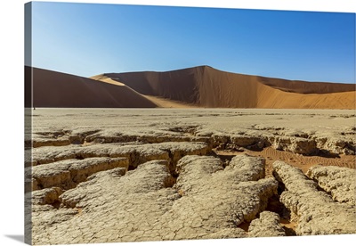 Deadvlei, A White Clay Pan Surrounded By Sand Dunes, Namib Desert, Namibia