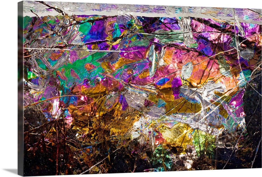 This is a close up of rainbow colors in nature in this horizontal, photographic wall art.