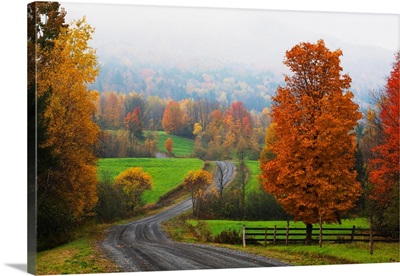 Dirt Road In Autumn With Early Morning Fog, Iron Hill, Quebec, Canada