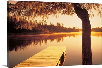 Dock And Tree At Edge Of Lyons Lake, Manitoba, Canada