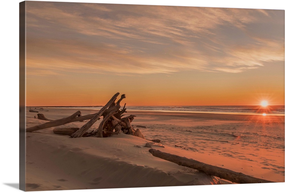 Driftwood on Heceta Beach taken at sunset; Florence, Oregon, United States of America