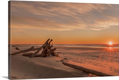 Driftwood On Heceta Beach Taken At Sunset, Florence, Oregon