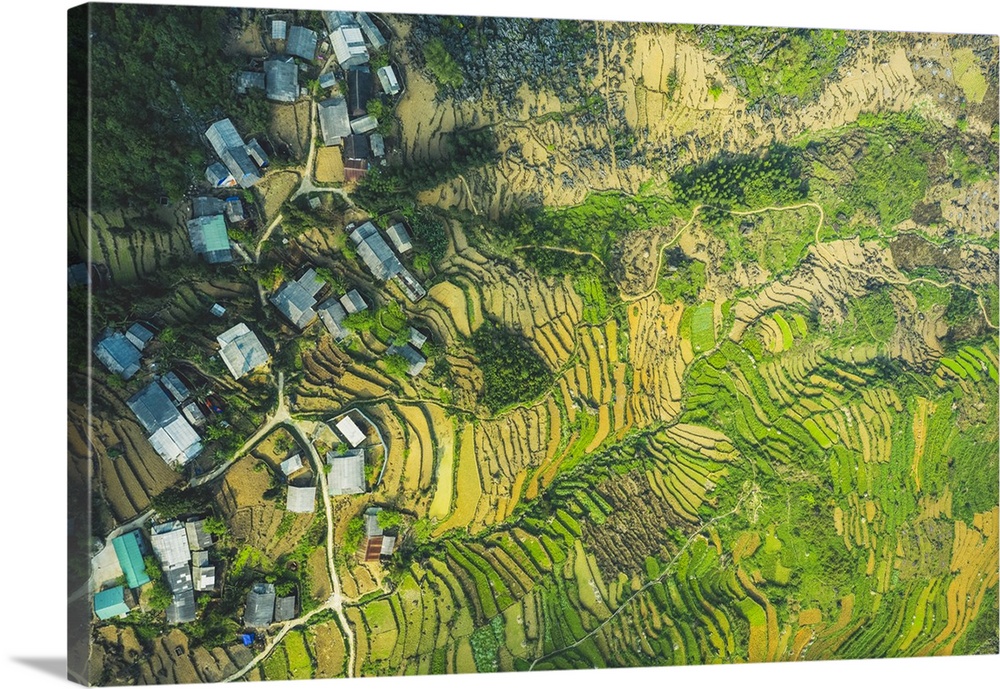 Drone view of rice terraces; Ha Giang Province, Vietnam.