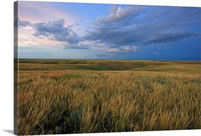 Dusk At Grasslands National Park, Saskatchewan, Canada