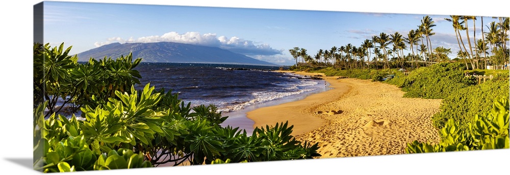 Five images were combined for this dusk panorama of Ulua beach in the evening light, Wailea, South Maui, Hawaii, USA, Wail...