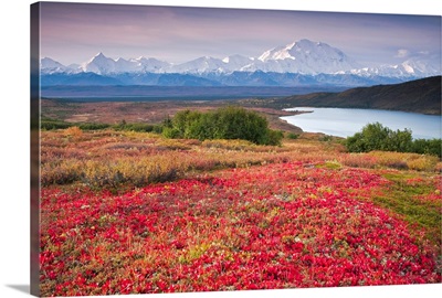 Early morning view of Mt. McKinley and Wonder Lake during Autumn