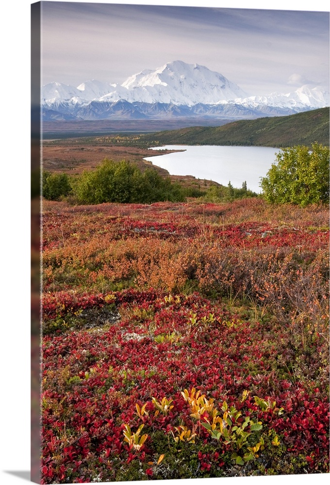 A vertical photograph of an Alaskan mountain and valley in the distance viewed from across a lake and a field of wildflowers.