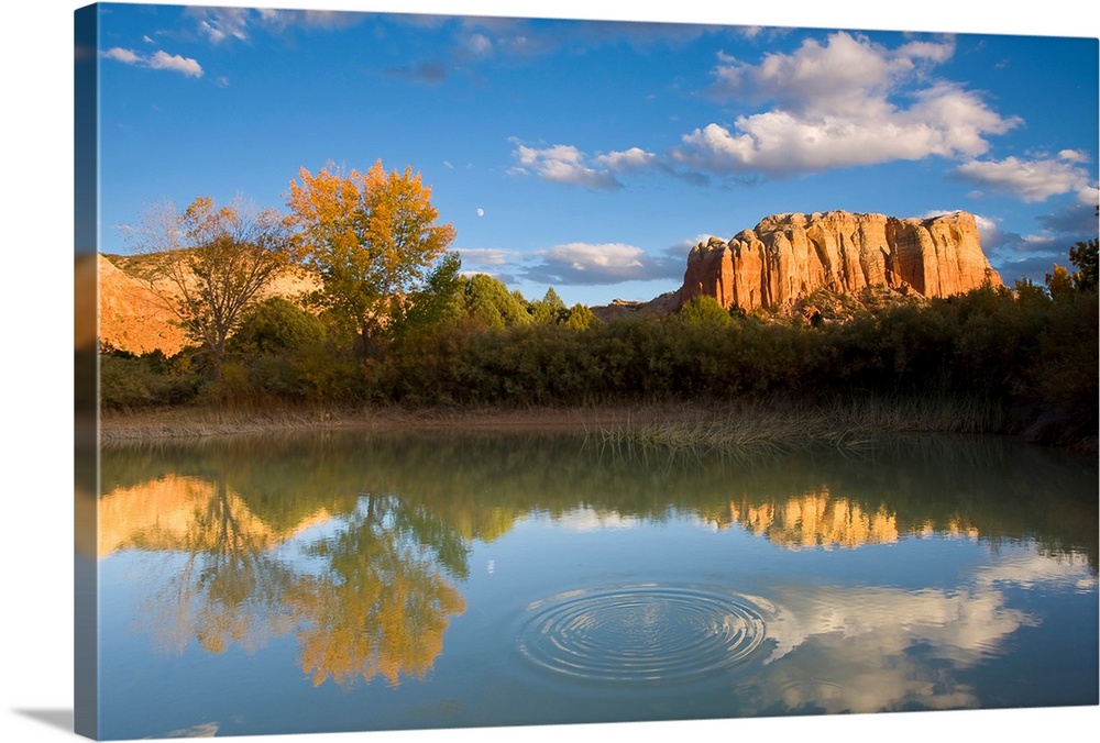 A small body of water is lined by thick brush with a large rock formation photographed in the background.
