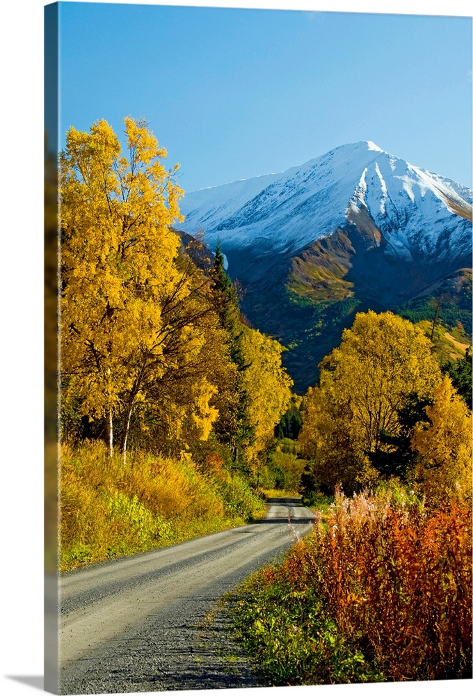 Fall colors and snowcapped peaks on the Palmer Creek Road near Hope in the Chugach National Forest on the Kenai Peninsula ...