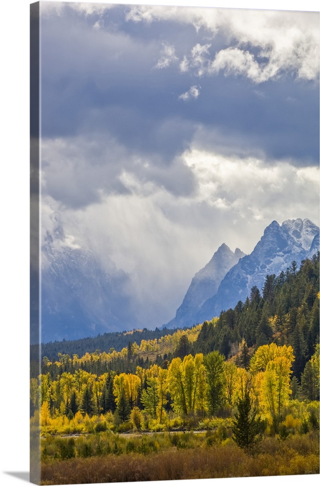 Fall Colors at Pacific Creek in YNP and the Grand Tetons, Grand Teton National Park, Wyoming, United States of America