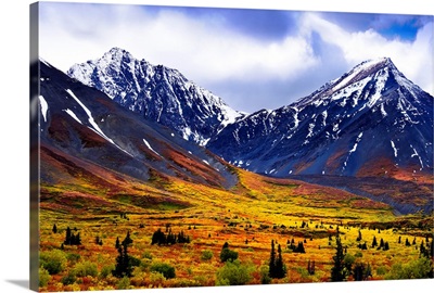 Fall Colours And Auriol Range, Kluane National Park, Yukon, Canada