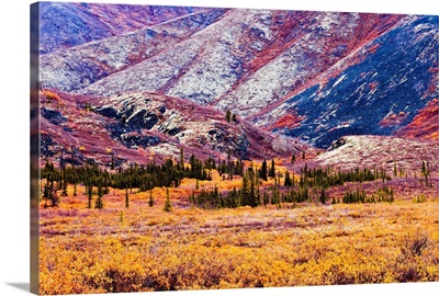 Fall Colours In Ogilvie Mountains, Tombstone Territorial Park, Yukon, Canada