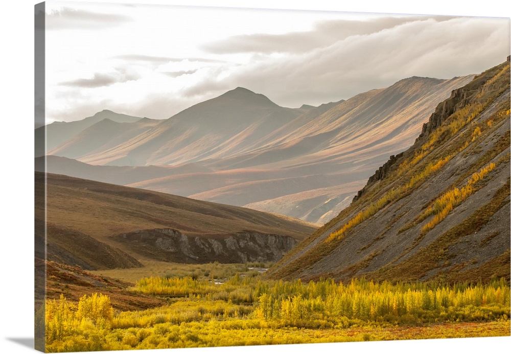 Fall foliage over the tundra and mountain ridge in the Arctic National Wildlife Refuge, Alaska, United States of America