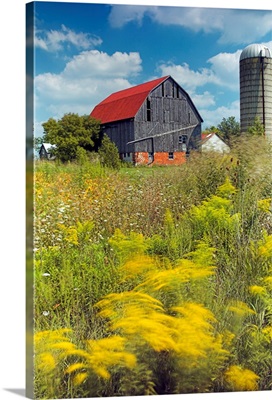 Farmyard, Niagara Peninsula, Near Binbrook, Ontario, Canada