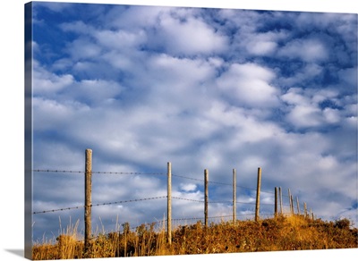 Fenceline In Pasture With Cumulus Clouds In Sky Near Cochrane, Alberta, Canada