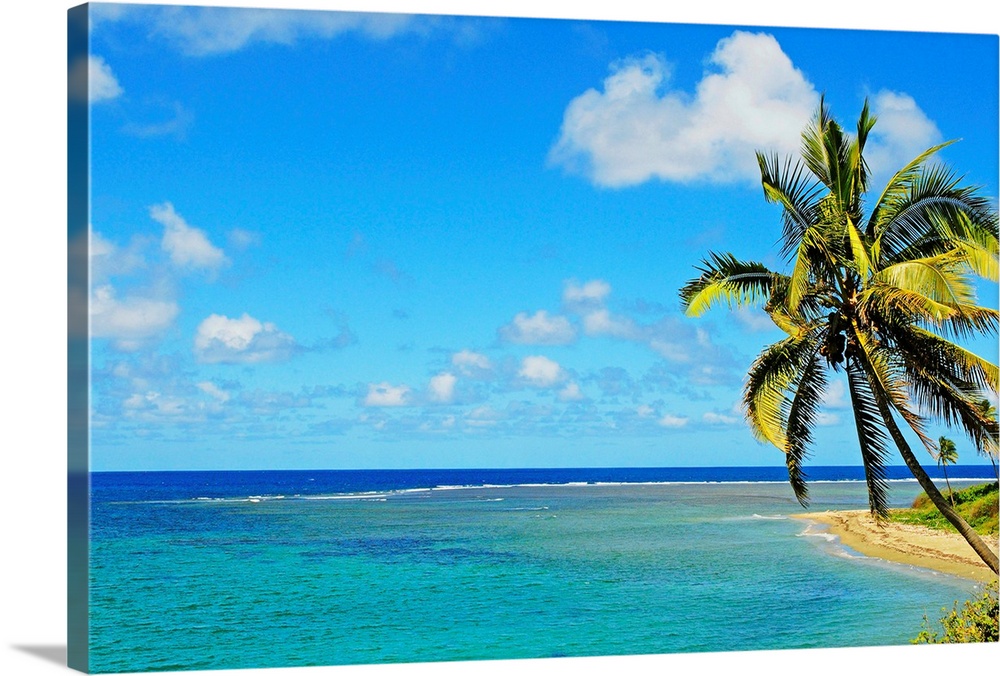 Fiji, Blue And Turquoise Ocean With Palm Tree And Sandy Beach