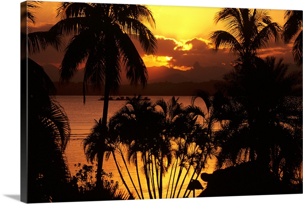 Fiji, Sunset Over Suva Bay, Silhouetted Palm Trees In Foreground
