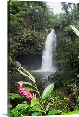 Fiji, Taveuni, Bouma National Heritage Park, Tavoro Waterfall