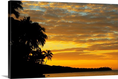 Fiji, Viti Levu, Coral Coast, Silhouette Of Palm Trees Along The Ocean
