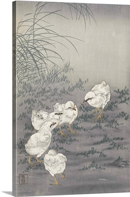 Five Chicks, By Japanese Artist Ohara Koson, 1877 - 1945