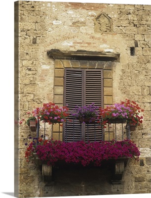 Flower Covered Balcony, Colle Di Val D'Elsa Italy