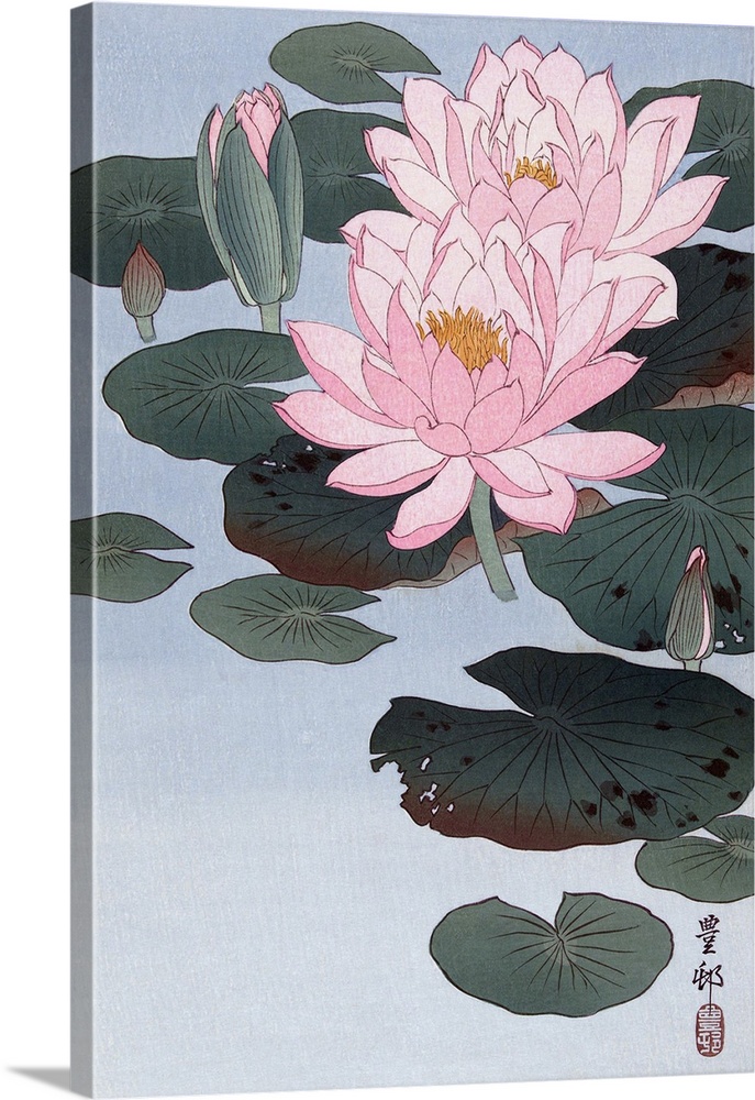 Flowering Water Lily. After a print by Japanese artist Ohara Koson, 1877 - 1945. He was born Ohara Matao, and signed his w...
