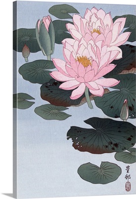 Flowering Water Lily By Japanese Artist Ohara Koson