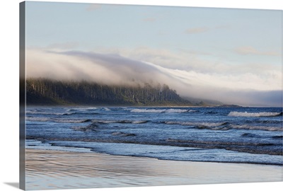 Fog Forms Over The Temperate Rainforest Along Long Beach