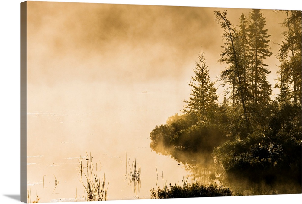 Fog Over Lac Roland At Sunrise, Quebec, Canada