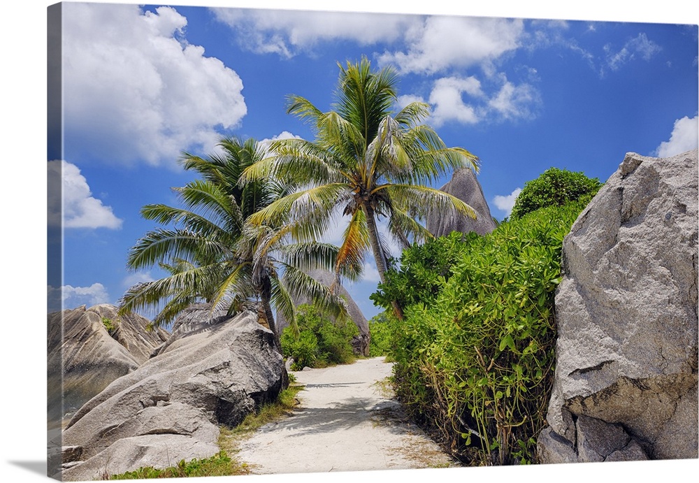 Footpath through Rocks and Palm Trees, Anse Source doArgent, La Digue, Seychelles