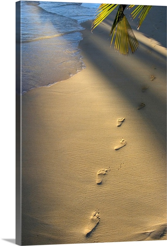 Footprints In Sand At Water's Edge, Soft Warm Golden Light | Great Big ...