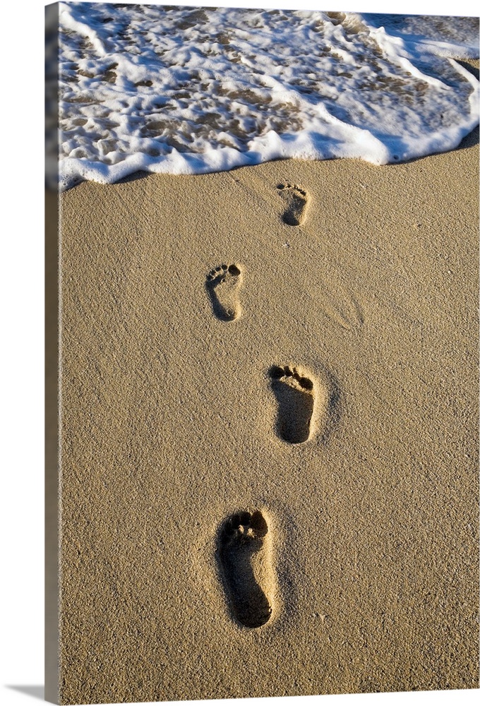 Footprints In The Sand Wall Art, Canvas Prints, Framed Prints, Wall ...