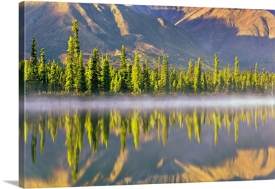 Forest Reflects In Drashner Lake, Alaska