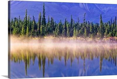 Forest Reflects In Drashner Lake With Mist Along Shoreline, Alaska